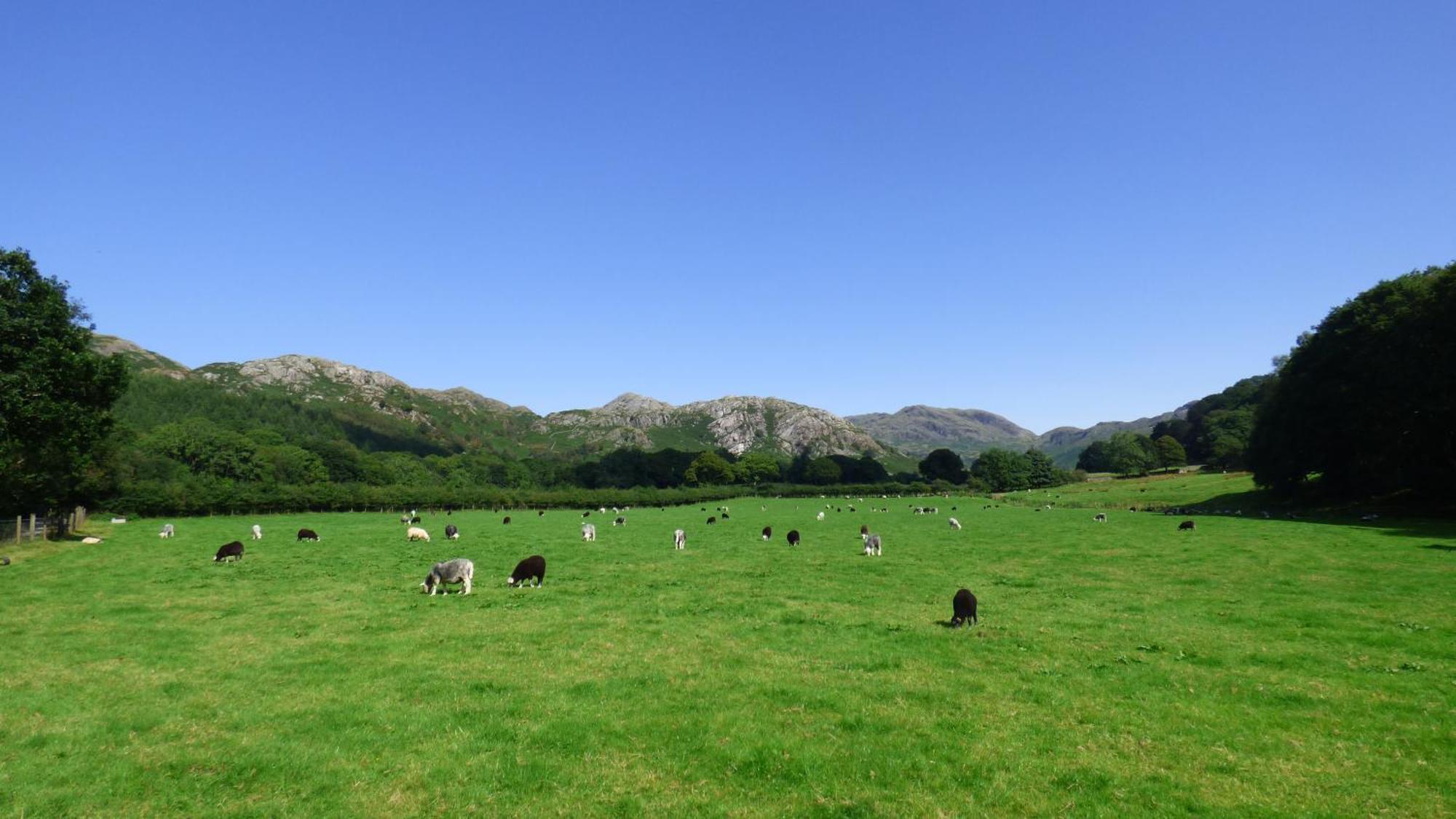 Renovated 5 Bedroom Farmhouse In Picturesque Eskdale, Lake District Eksteriør bilde