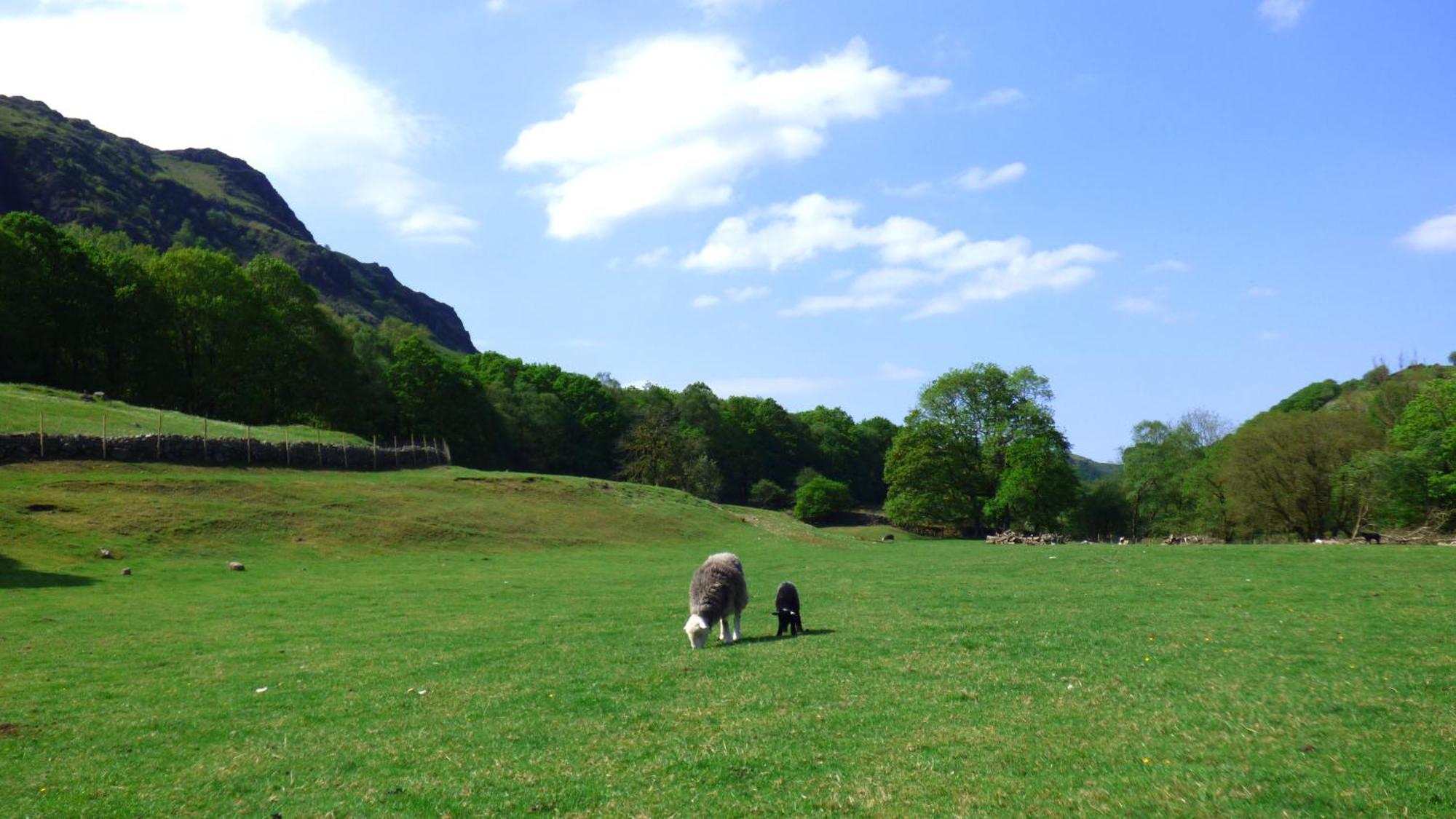 Renovated 5 Bedroom Farmhouse In Picturesque Eskdale, Lake District Eksteriør bilde